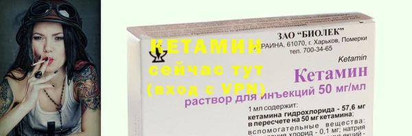 шишки Шали