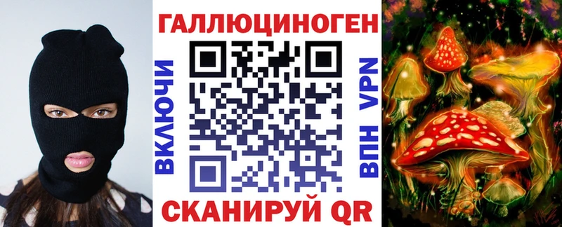 Купить  Пошехонье  Псилоцибиновые грибы Psilocybine cubensis 